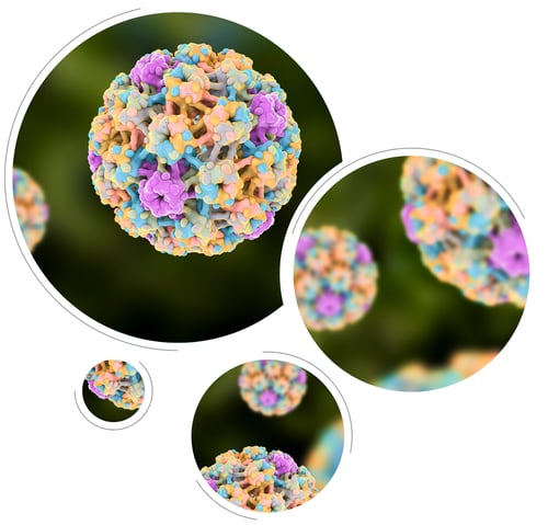 HPV virus-image-lockups-1123-1